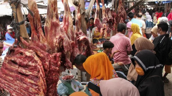 Harga Daging Sapi Stabil, Pedagang Kembali Berjualan
