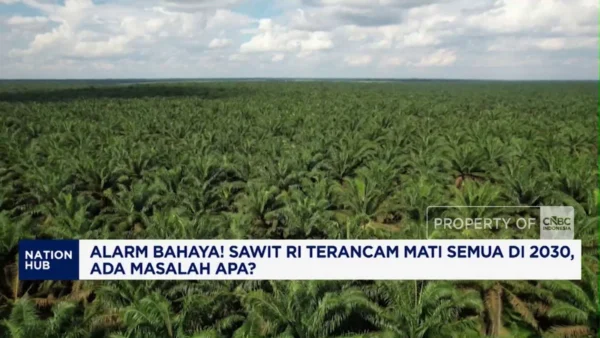 Ancaman Mati Total Sawit RI di 2030