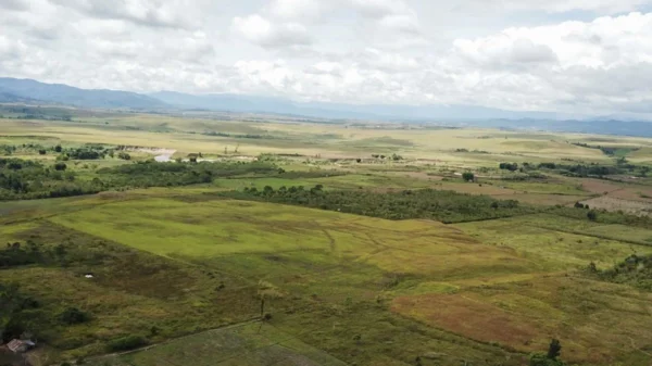 Prabowo Tanah Terlantar Jadi Milik Negara