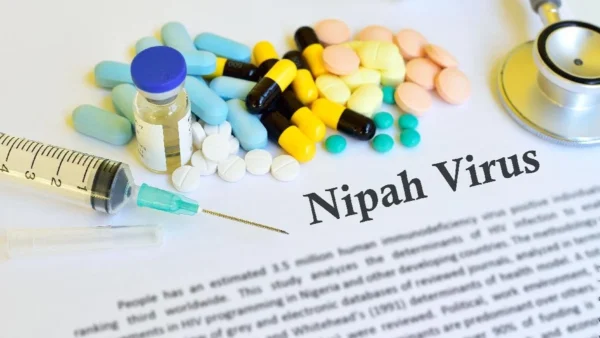 Dinkes DKI Waspadai Virus Nipah dari Hewan